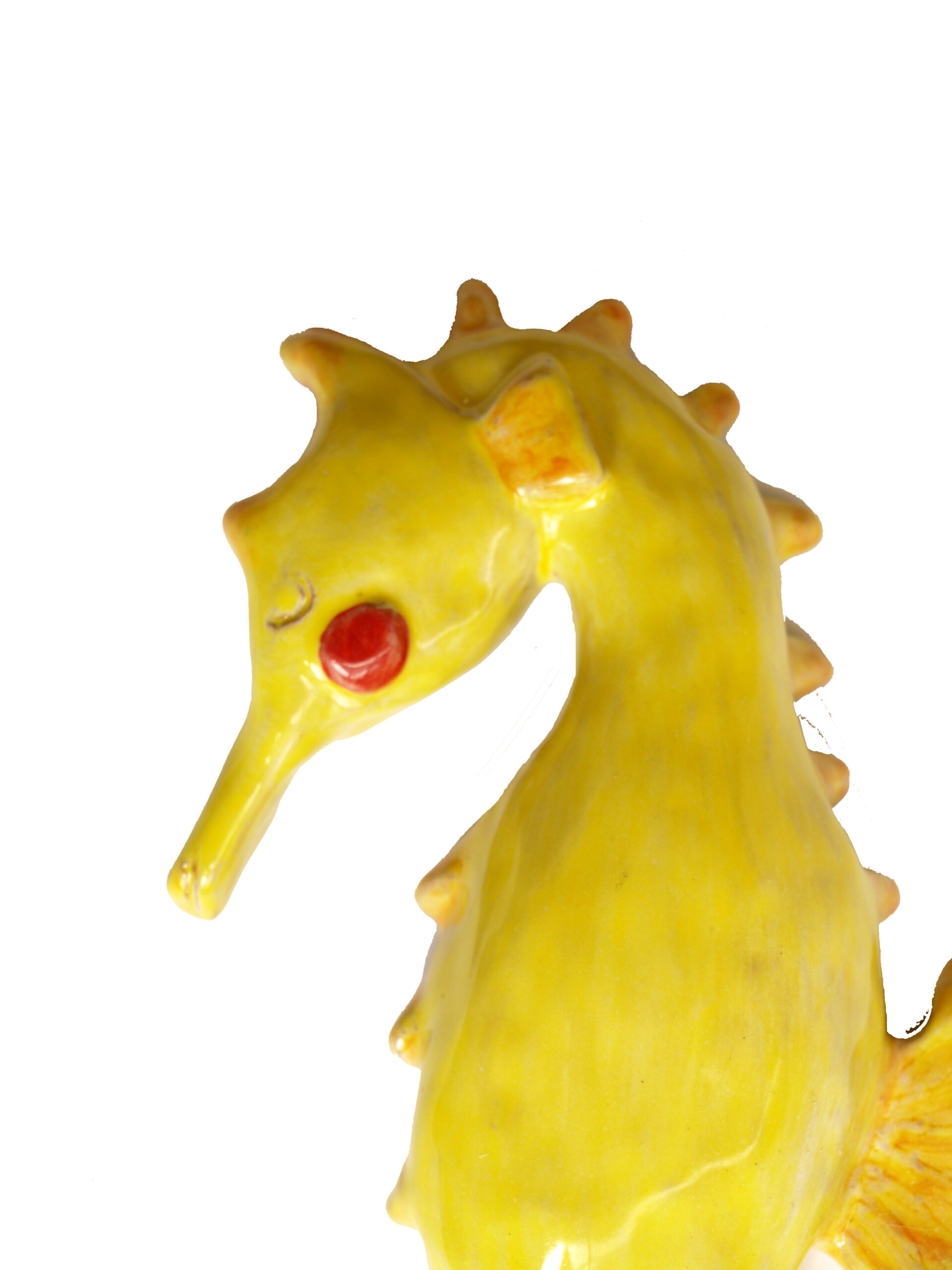 Caballito de mar - Imagen 2